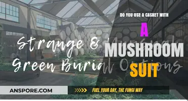 Eco-Friendly Burials: Mushroom Suits and Caskets Explained