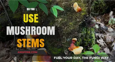 Mushroom Stems: Should You Use Them or Toss Them Out?