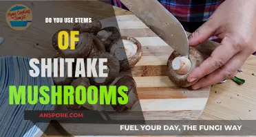 Unlocking Shiitake Secrets: Creative Uses for Mushroom Stems in Cooking