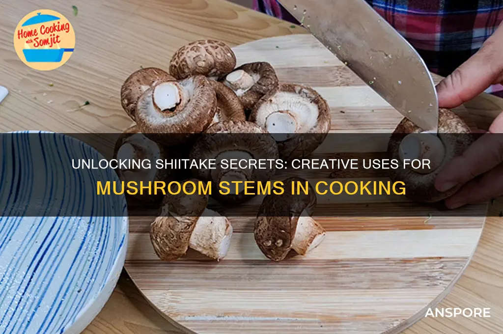 do you use stems of shiitake mushrooms