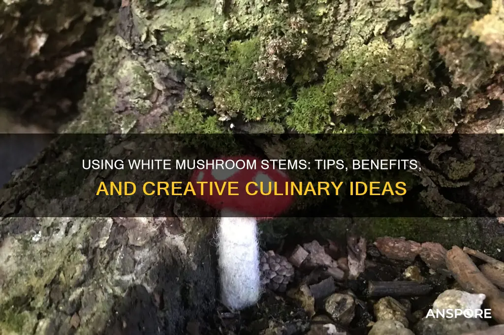 do you use the stem of white mushrooms