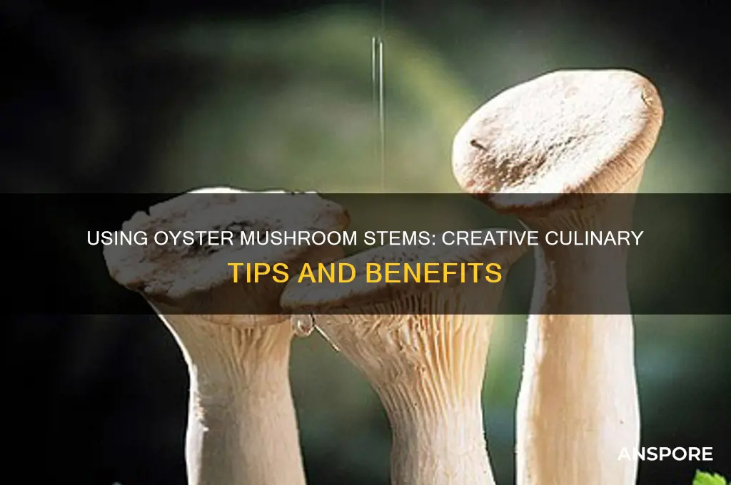do you use the stems of oyster mushrooms