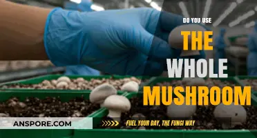 Maximizing Mushroom Benefits: Should You Use the Whole Mushroom?
