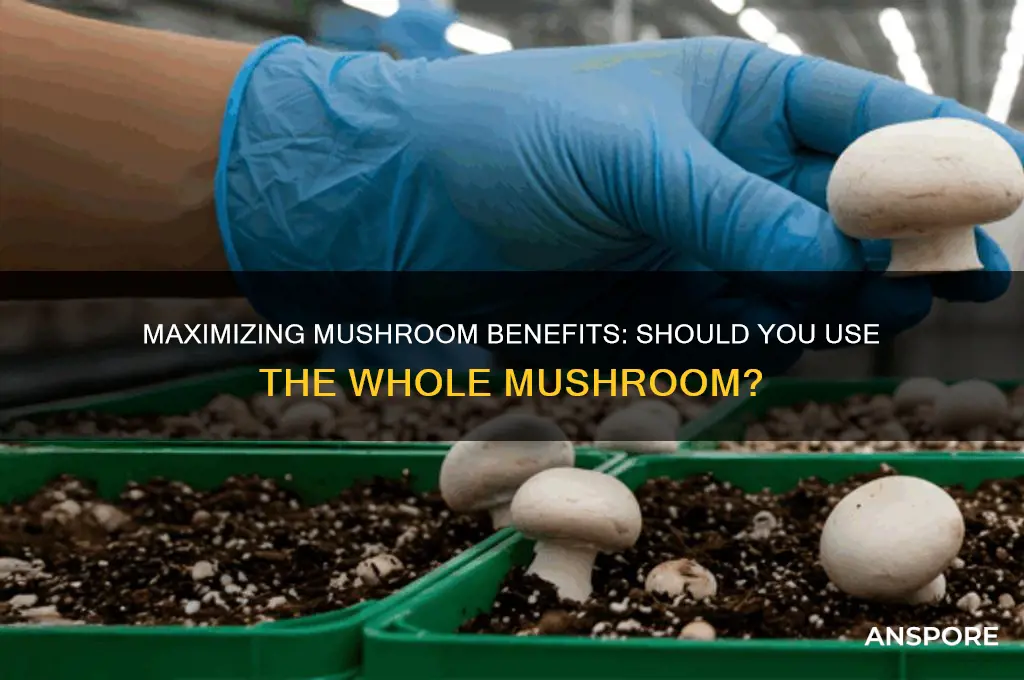 do you use the whole mushroom