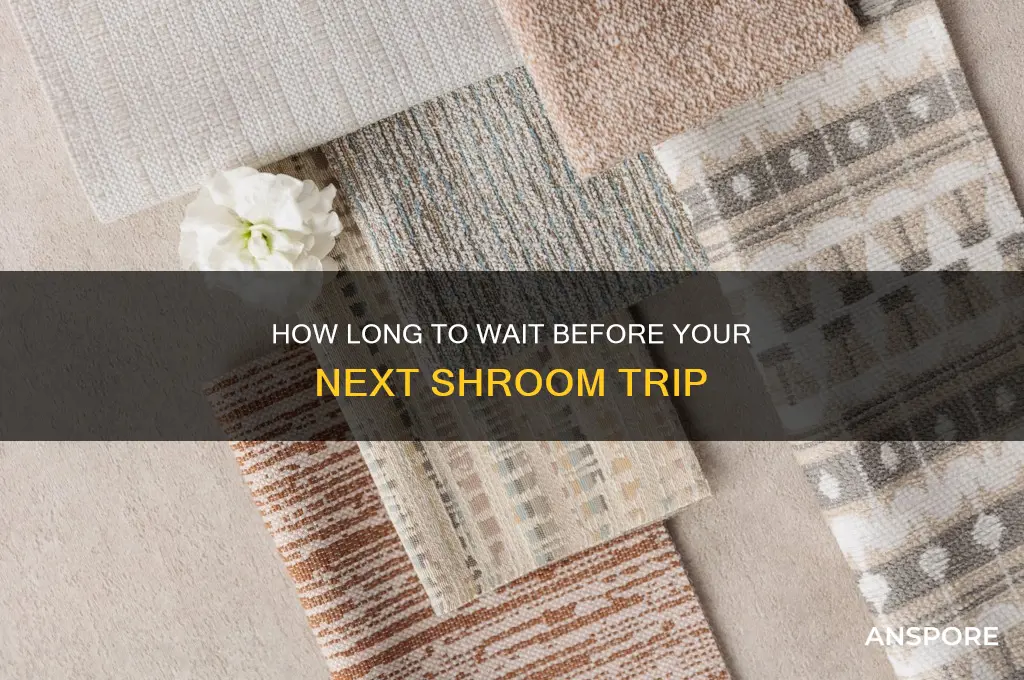 do you wait before taking mushrooms again