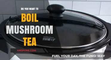 Brewing Mushroom Tea: A Beginner's Guide