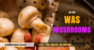 Washing Mushrooms: To Rinse or Not to Rinse?