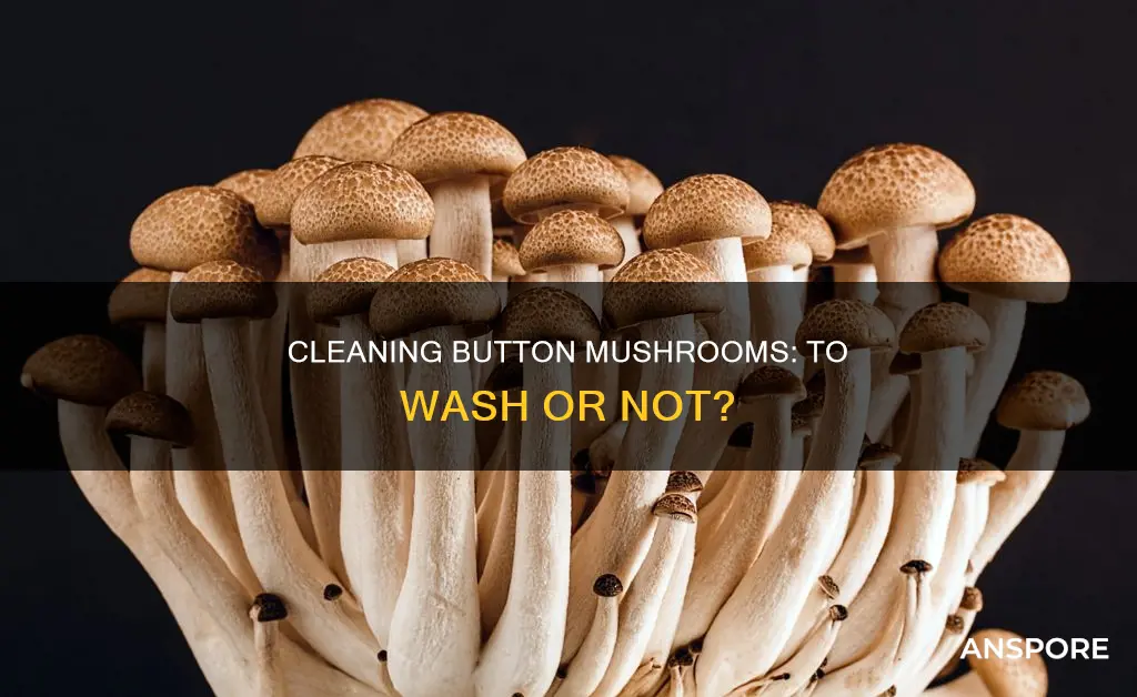 do you wash button mushrooms