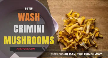 Cleaning Crimini Mushrooms: A Quick Rinse or Brush?