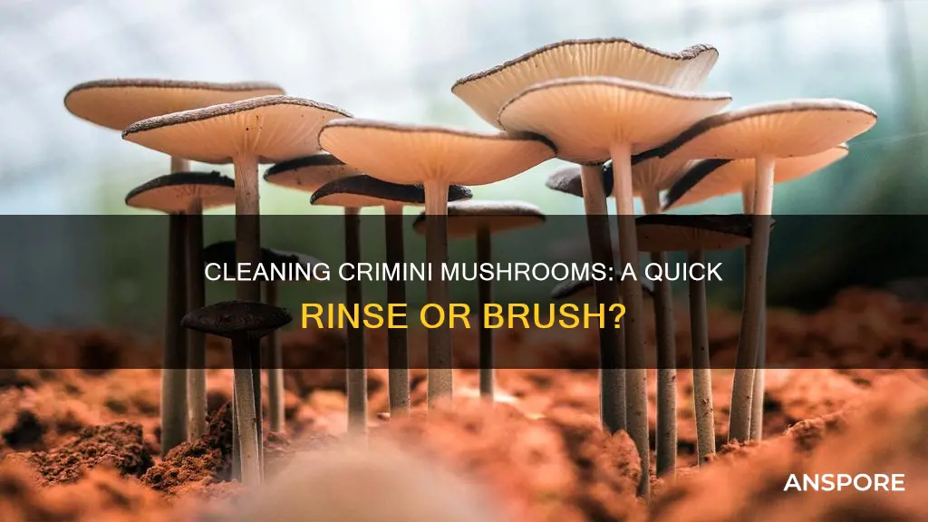 do you wash crimini mushrooms