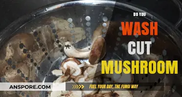 Should You Wash Cut Mushrooms?