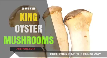 How to Clean King Oyster Mushrooms?