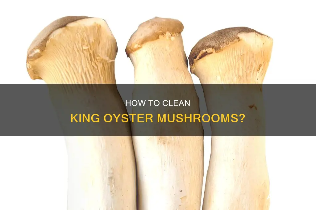 do you wash king oyster mushrooms