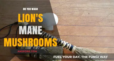 How to Clean Lion's Mane Mushrooms: A Step-by-Step Guide