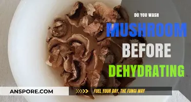 The Best Way to Prepare Mushrooms for Dehydrating