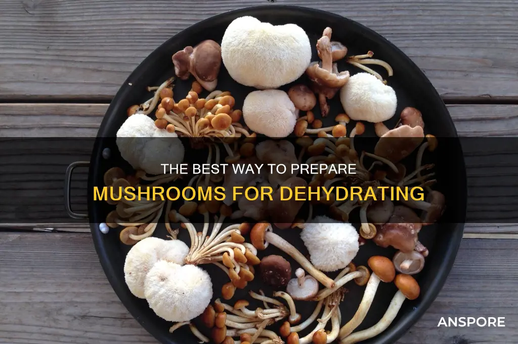 do you wash mushrooms before dehydrating