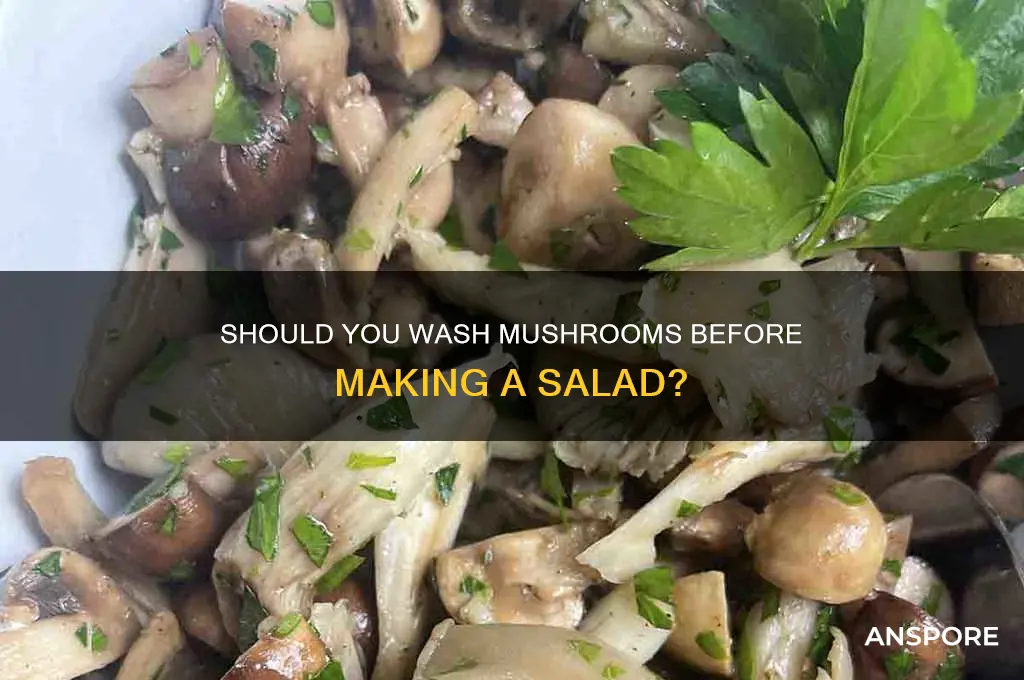 do you wash mushrooms before putting in salad