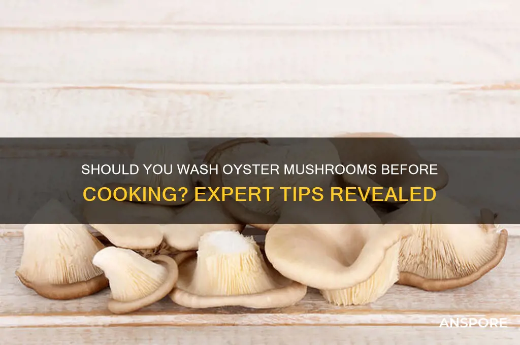 do you wash oyster mushrooms before cooking