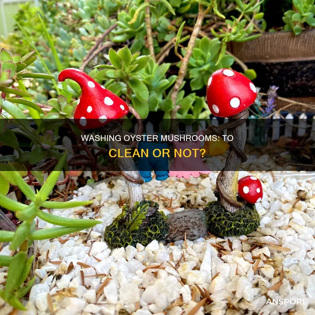 do you wash oyster mushrooms