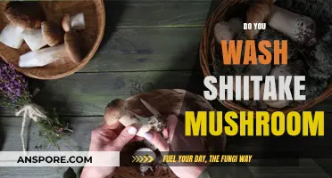 Shiitake Mushrooms: To Wash or Not to Wash?