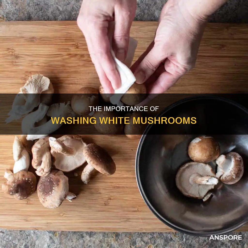 do you wash white mushrooms