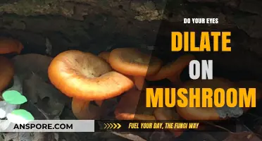 How Mushrooms Make Your Eyes Dilate
