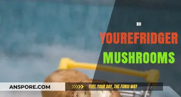 Mushroom Storage: Fridge or Shelf?