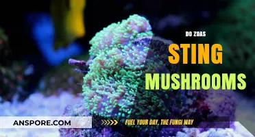 Zoas' Stinging Mushrooms: A Dangerous Encounter
