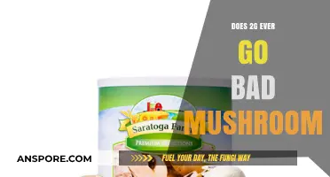 Do 2G Mushrooms Expire? Shelf Life and Storage Tips