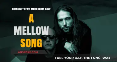 Mellow Infected Mushroom: Exploring the Softer Side