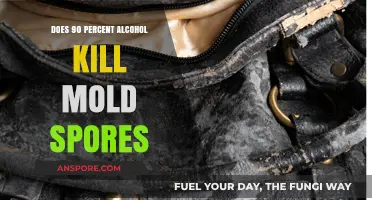 Can High-Proof Alcohol Effectively Eliminate Mold Spores? Find Out