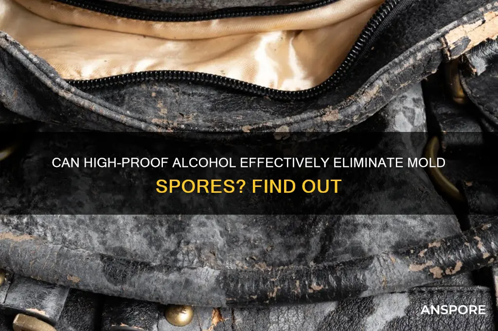 does 90 percent alcohol kill mold spores