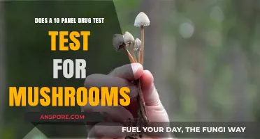 Mushrooms and Drug Tests: What a 10-Panel Can Detect