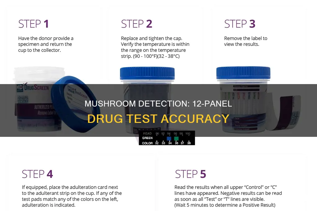 does a 12 panel test for mushrooms