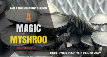 Blue Spore Print: Does It Guarantee Magic Mushrooms?