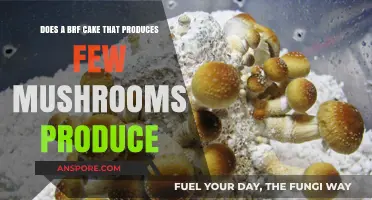BRF Cakes: Few Mushrooms, Many Problems?