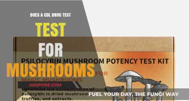 Mushroom Users: Are CDL Drug Tests a Concern?