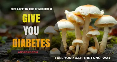 Mushrooms and Diabetes: Friend or Foe?