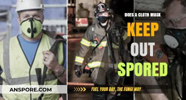 Do Cloth Masks Effectively Block Spores? Uncovering the Truth