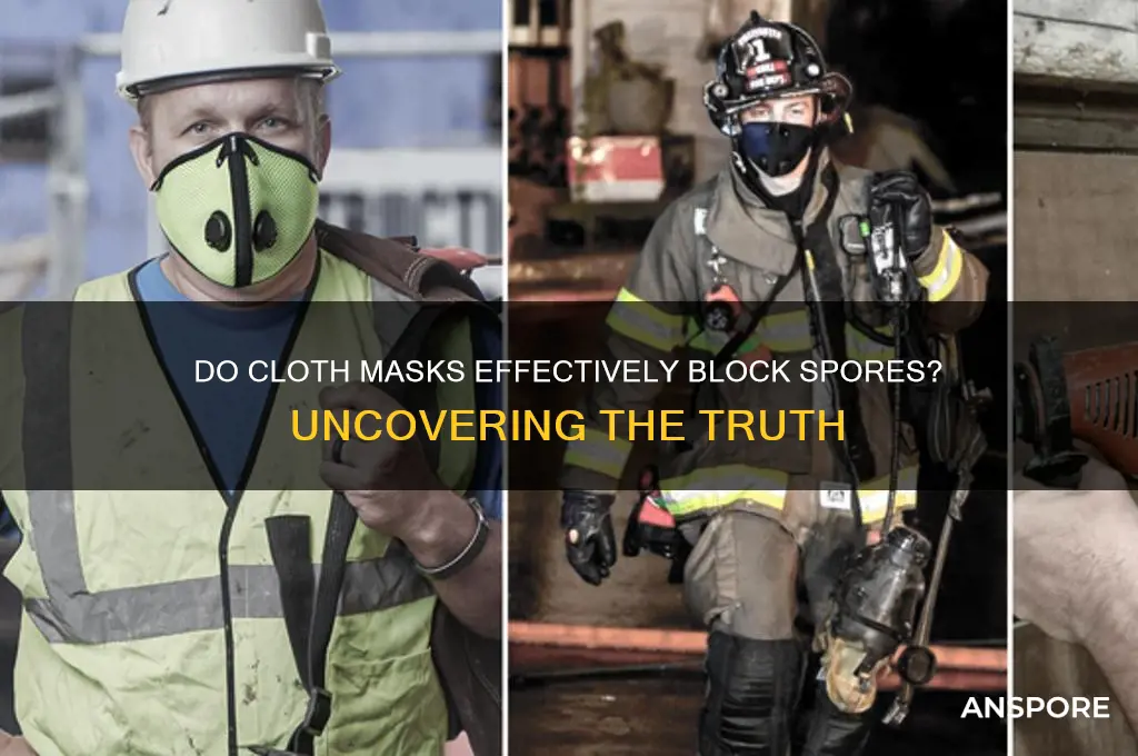 does a cloth mask keep out spored