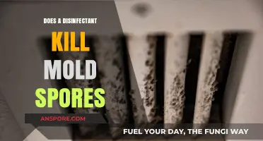 Can Disinfectants Effectively Eliminate Mold Spores? The Truth Revealed