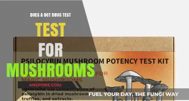 Drug Testing: Does a DOT Test Detect Mushrooms?