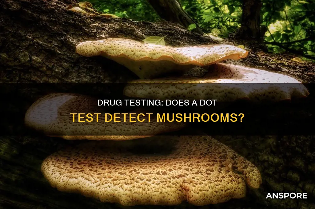 does a dot drug test test for mushrooms