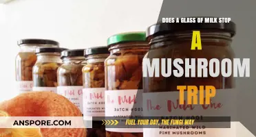 Milk and Magic Mushrooms: Does it Work?