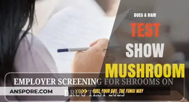 Hair Test: Can It Detect Mushroom Usage?