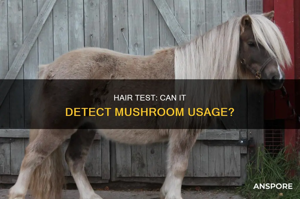 does a hair test show mushrooms