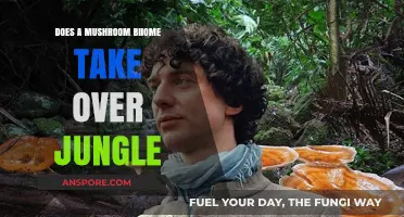 Mushroom Kingdom: Invading Jungles, Taking Over