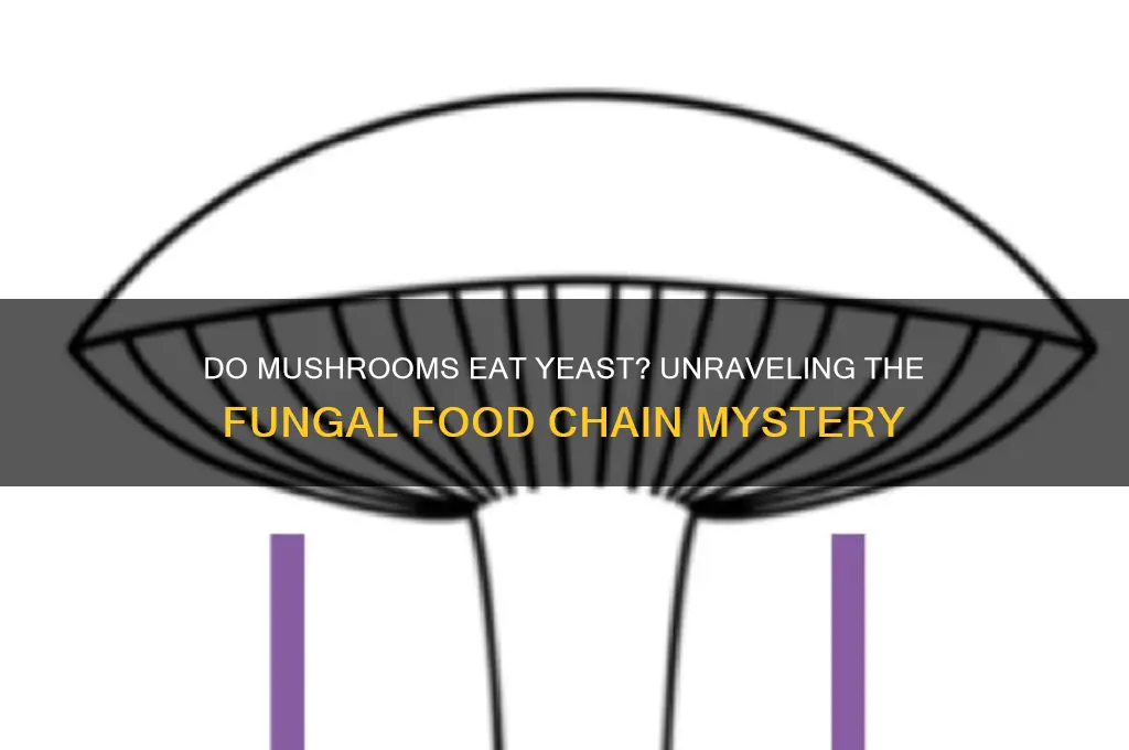 does a mushroom eat yeast