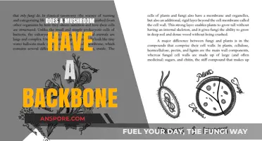Backbone in Mushrooms: Fact or Fiction?