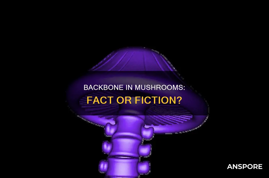 does a mushroom have a backbone